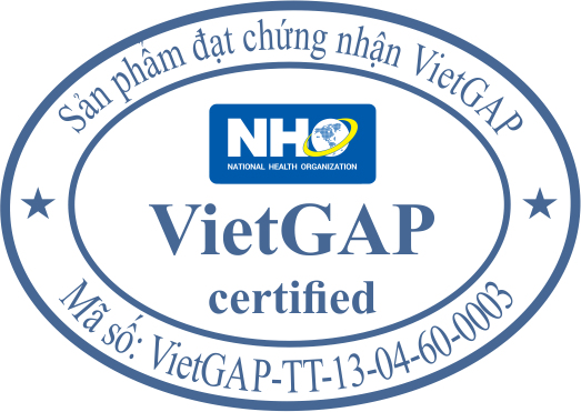 Chứng nhận chuẩn Việt Gắp sản phẩm nhãn bắp cải